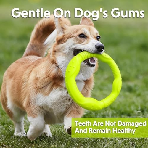 LaRoo Dog Chew Toy Ring 8.6 Inch,Floating Fetch Flying DiscInteractive Tug of War Toy for Dogs,Waterproof Lightweight Outdoor Dog Play Toy for Medium Dogs(Green) - Image 6