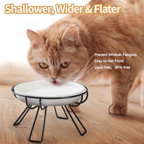 Presents The Ultimate Cat Dining Set: 5.9 inch Ceramic Water Bowl and Whisker-Friendly and Anti-Vomiting Plates.Elevated Bowl, Raised Ceramic Dish with Metal Stand - Image 4