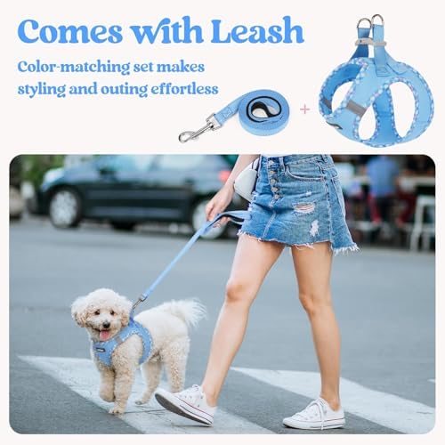 rabbitgoo Dog Harness Small Sized and Leash Set, Step-in Puppy Pet Vest - Image 5