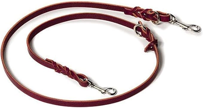 Ray Allen Convertible Service Dog Leash, Latigo Leather, Hands-Free Dog Leash (5')