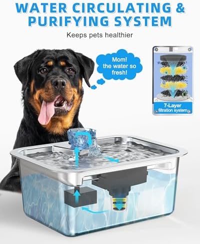Lesotc Dog Water Fountain, 10L Stainless Steel Large Pet Fountain - Image 3
