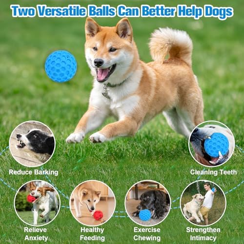 2 Pack Dog Toy Balls for Aggressive Chewers, Treat Ball and Squeaky Ball - Image 6