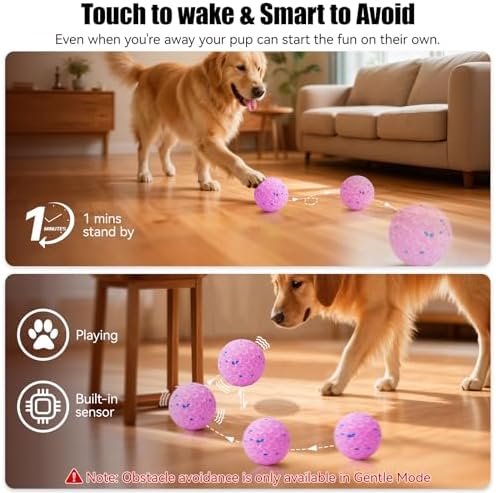 Interactive Dog Toys, Chew-Proof Dog Ball for Aggressive Chewers - Image 6