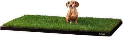 DoggieLawn XL Tray - Heavy Duty 4ft x 2ft Dog Potty Holder - Washable Reusable Floor Protection - Indoor/Outdoor Training Tray for Large Dogs