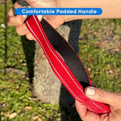 Pawtitas Reflective Red Running Handsfree Puppy or Dog Leash Padded Handle, 5 ft., Medium - Image 5