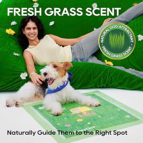 HoneyCare Fresh Grass Print /Scent All Absorb Large Training Pads, 22x23, 50 Ct - Image 3