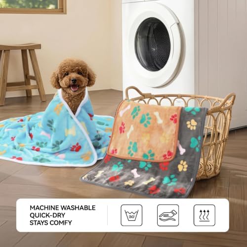 LINENLUX Dog Blankets 4-Pack, Super Soft Fluffy Fleece Pet Throw Warm - Image 4