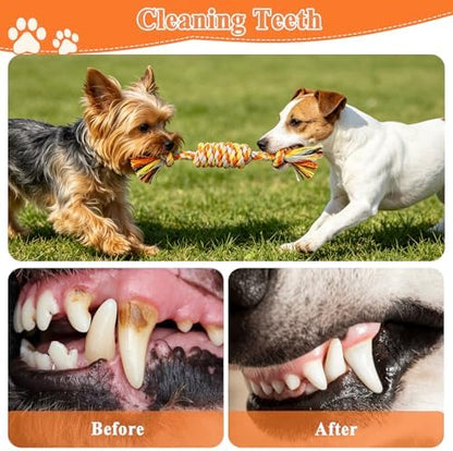 ASOCEA 5 Pack Cotton Rope Toys for Puppy Teething Small Dogs Orange - Image 5