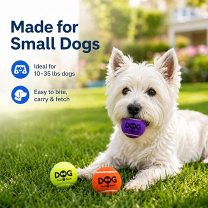INSUM Tennis Balls for Dogs, 12 Pack Colorful Dog Toys Balls - Image 2