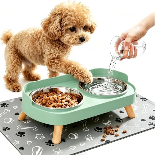 Elevated Dog Bowls with Mat, 2 Stainless Steel for Small Dogs Under 25 Lb by DIRZHX