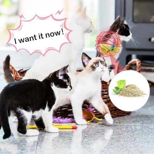 Jecery 5 Pcs Cat Toys Spring,Metal Cage,Multicolor - Image 5
