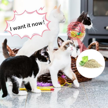 Jecery 5 Pcs Cat Toys Spring,Metal Cage,Multicolor - Image 5