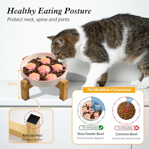 Elevated Ceramic Slow Feeder Cat Bowl with Anti-Slip Bamboo Stand - Image 3