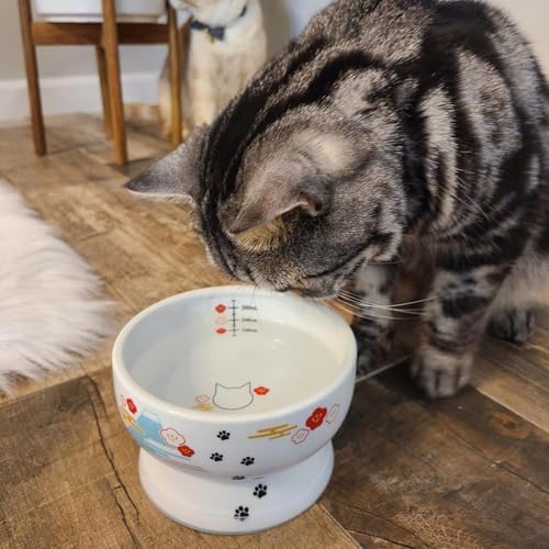 Necoichi Ceramic Elevated Cat Water Bowl, Whisker-Friendly (Fuji, Regular) - Image 5