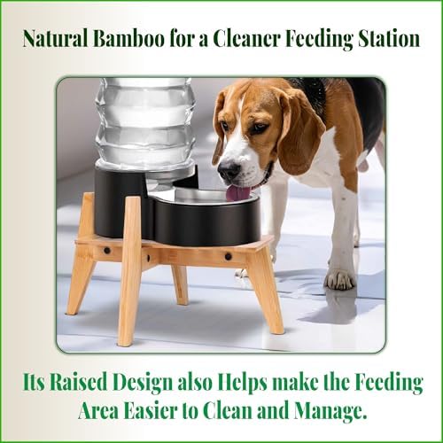 Dog Water and Food Dispenser Stand for Medium Dogs - Adjustable, Bamboo - Image 4