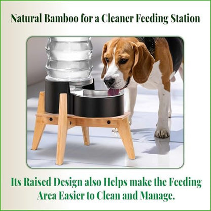 Dog Water and Food Dispenser Stand for Medium Dogs - Adjustable, Bamboo - Image 4