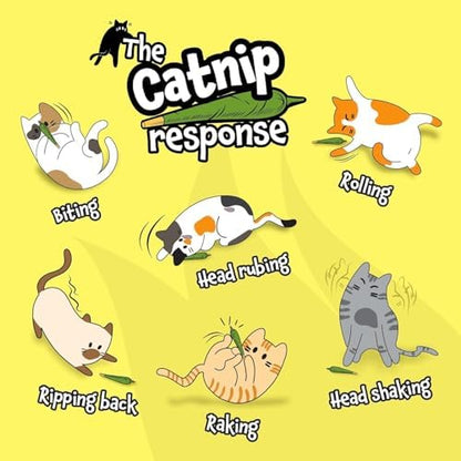 LIT LABS Catnip Toy - 10 Organic Pre-Roll Joints for Extra Purr - Funny Cat Toy for Indoor Cats with Existential Dread - Image 6
