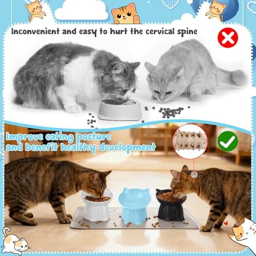 3 Pcs Elevated Cat Bowls 15°Raised Cat Food Bowl with Silicone Mat Blue - Image 5