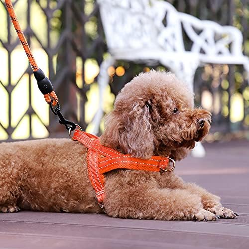 Plutus Pet No Pull Dog Harness for Puppy Small Dogs, Breathable Mesh Padded - Image 5