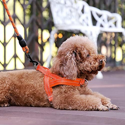 Plutus Pet No Pull Dog Harness for Puppy Small Dogs, Breathable Mesh Padded - Image 5