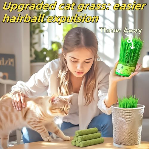 Cat Toy 18Pcs Variety Pack Cat Grass Treat & Catnip Rope Mix - Image 3