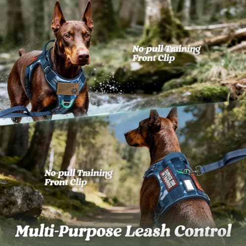 rabbitgoo Tactical Dog Harness for Large Dogs, No Pull Service Pet Vest - Image 3