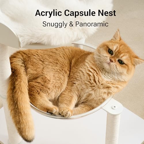 34" Modern Cat Tree Furniture for Indoor Small & Medium Cats, Minimalist Cat Tower with Scratching Posts, Wood Platforms, Capsule Perch, Stable Steel Frame & Washable Cushion, Soft White - Image 5