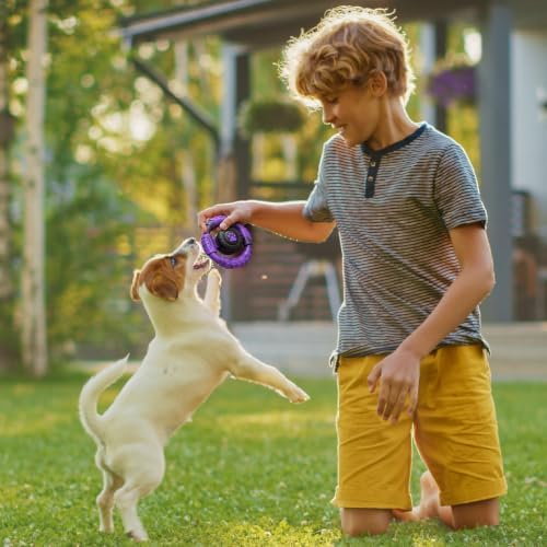 Pamlulu Small Dog Chew Toy, Tough Squeaky Puppy Chew for Small Breeds, Rubber and Nylon Design, Indoor and Outdoor Play, Birthday Gift - Image 6