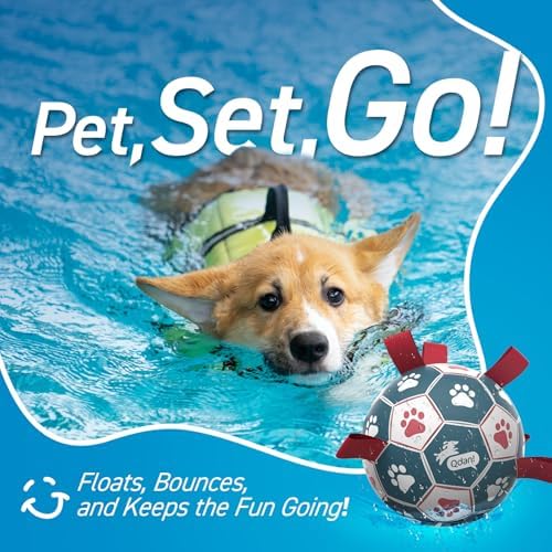 QDAN Dog Balls, 6 Inch Dog Soccer Ball with Straps, Herding Balls for Dogs - Image 6