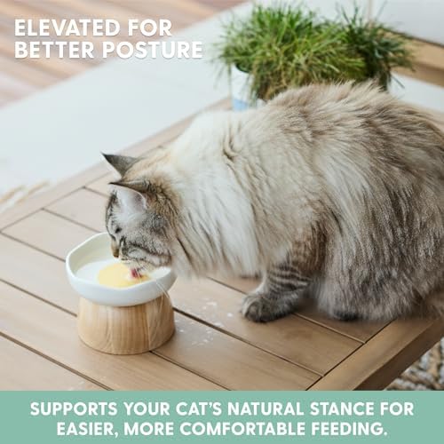 The Cat Ladies Egg Cat Food Bowl - Cute Cats Bowl - Elevated Ceramic Food Bowls - Ceramic Raised Food Bowls - Elevated for Spinal Alignment - Prevents Whisker Fatigue - Wood StandCat Bowl - Image 3