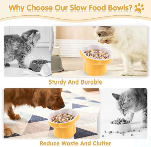 Cat Slow Feeder Bowl Set,1 Pcs Pastel Series Cat Plate for Dry and Wet Food - Image 3