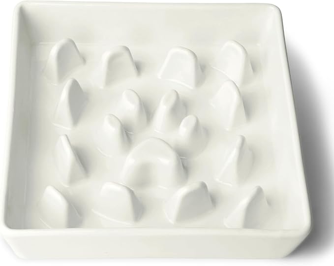 Ceramic Slow Feeder Dog Bowl, 1.8 Cup Fun Pet Food Dish for Small & Medium Breeds to Slow Down Eating, Anti-Gulping, Stop Bloat, Preventing Choking (White)