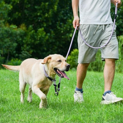Rope Dog Leash, 4 ft Heavy Duty Dog Leash with Aviation Aluminum Auto Locking Carabiner, Strong Nylon Pet Lead for Small, Medium, Large Dogs (Yellow, 4FT) - Image 6