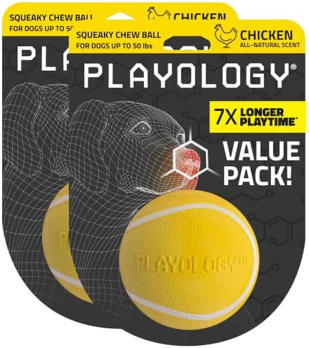 Playology Squeaky Chew Ball Dog Toy - Medium, Chicken Scent, 2-Pack by Playology