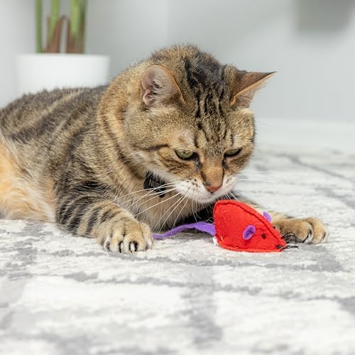 SPOT Felt Mice Catnip Toy | Soft, Colorful Multipack Interactive Cat Toy for Indoor Cats | Includes Catnip | 6 Pack in Assorted Colors - Image 2