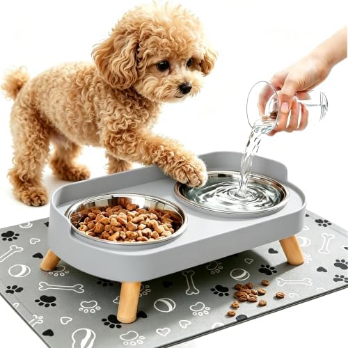 Elevated Dog Bowls with Mat, 2 Stainless Steel for Small Dogs Under 25 Lb by DIRZHX