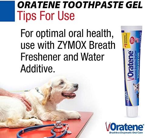 Pet King Brands ZYMOX Oratene Brushless Toothpaste Gel for Dogs and Cats, 2.5oz - Image 6