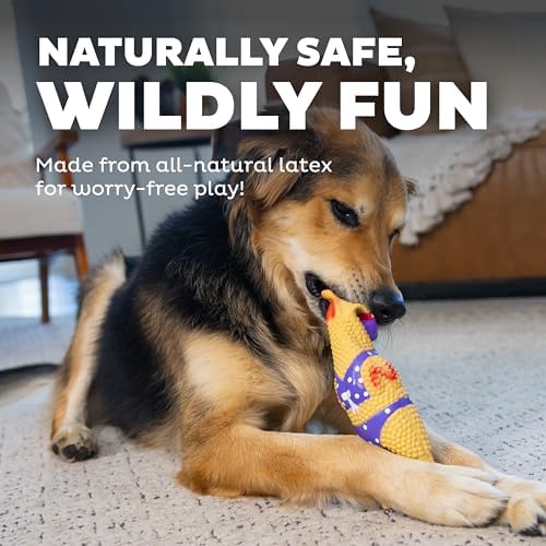 Outward Hound Squawkers Squeaky Latex Dog Toy, Henrietta, 11" - Image 4