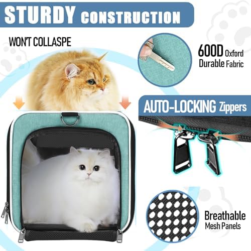 GAPZER Large Cat Carrier Soft, Collapsible Travel Pet Carry Bag, Small Dogs - Image 4