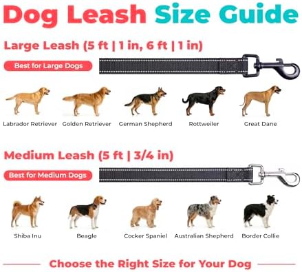 Best Pet Supplies Voyager Nylon Dog Leash - Black, Large - Image 6
