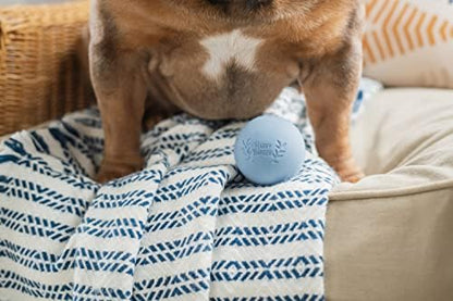 Harry Barker Natural Rubber Dog Fetch Balls, Durable High-Bounce Interactive Toy with Safety Air Vent, Treat-Stuffable Rubber Balls for Dogs, 2.5 Inch, 6-Pack - Image 5