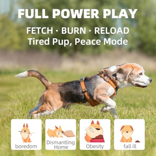 Automatic Dog Ball Launcher-Small Silent Dog Ball Thrower, 3 Adjustable Distances (20ft/33ft/46ft), Rechargable,Includes 3 Durable 2.3" Balls for Small/Medium Dogs (Yellow, Medium) - Image 3