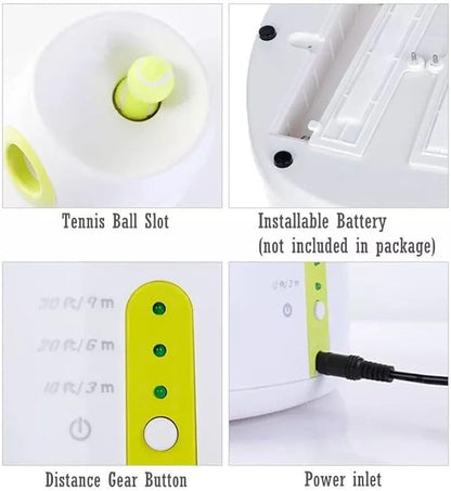 Compact Automatic Dog Ball Launcher Interactive Fetch Machine