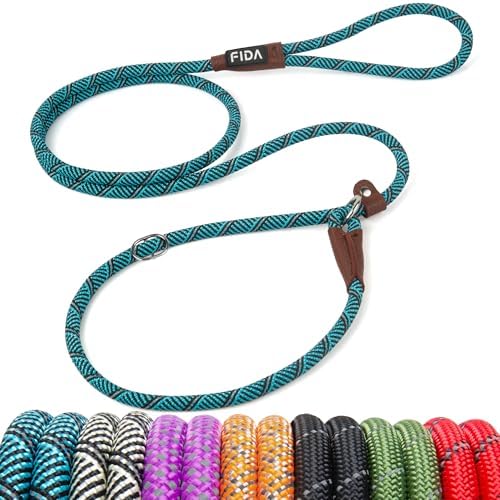 Fida Durable Slip Lead Dog Leash, 6 FT x 3/8" Dog Training Leash, Blue by Fida