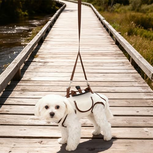 Snuggle Sling Dog Carrier, Adjustable Full Body Dog Lift Harness Hands-Free Shoulder Pet Carrier with Traction Leash Fit Most 8-13 lb/3.63-5.9 kg Portable Supply for Small Cat Pet - Image 7