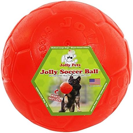 Jolly Pets Jolly Soccer Ball Dog Toy 8in,All Breed Sizes by JollyPets