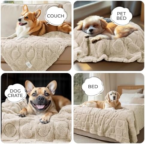 Luciphia Small Dog Blanket Washable Pet Bed Cover Soft Fluffy Puppy Blanket with Premium Fleece 300GSM Cozy Calming Cat Blankets for Indoor Cats Beige 30x20 inch - Image 3