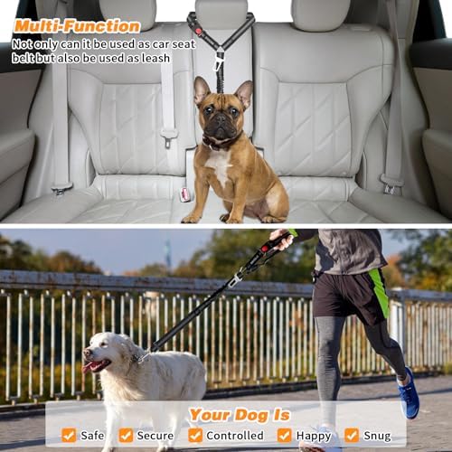 BWOGUE 2 Pack Dog Seat Belt for Car, Elastic Bungee Buffer Safety Leads - Image 7