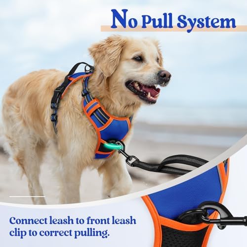 rabbitgoo Dog Harness, No Pull for Large Dogs with 2 Leash Clips, Pet Vest - Image 5