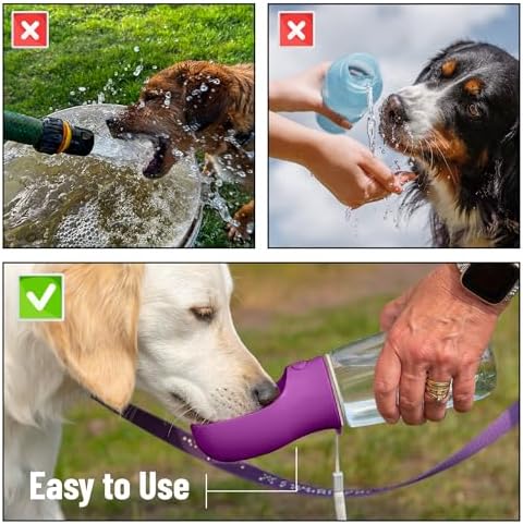 Mr. Pen- Portable Dog Water Bottle, 19 oz, Large - Image 7
